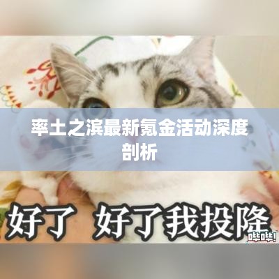 率土之滨最新氪金活动深度剖析