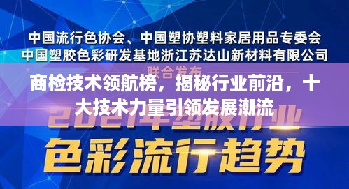 商检技术领航榜，揭秘行业前沿，十大技术力量引领发展潮流