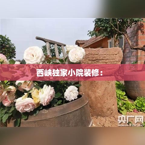 西峡独家小院装修： 