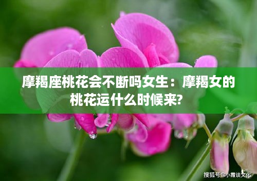 摩羯座桃花会不断吗女生：摩羯女的桃花运什么时候来? 