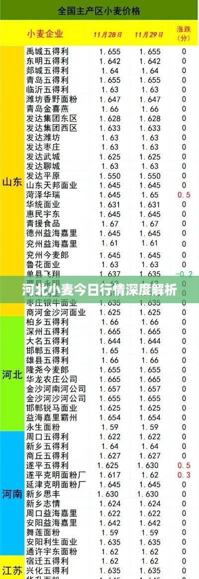 河北小麦今日行情深度解析