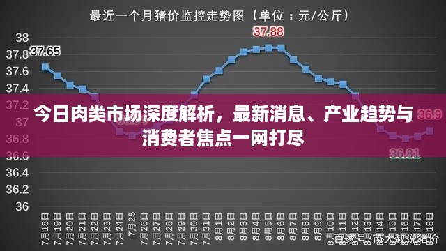 今日肉类市场深度解析，最新消息、产业趋势与消费者焦点一网打尽