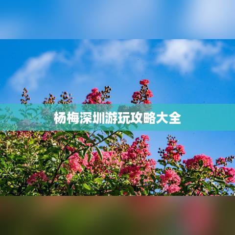 杨梅深圳游玩攻略大全