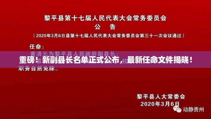 重磅！新副县长名单正式公布，最新任命文件揭晓！