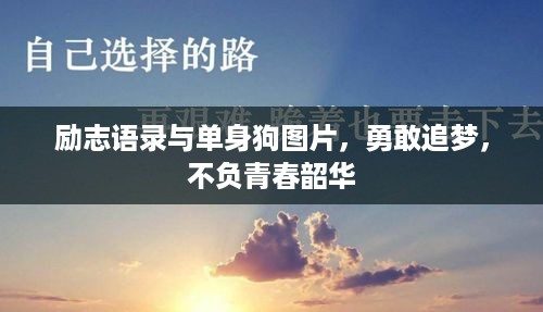 励志语录与单身狗图片，勇敢追梦，不负青春韶华