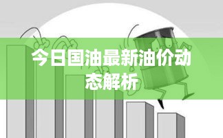 今日国油最新油价动态解析