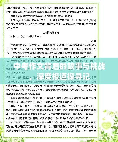 中考作文背后的故事与挑战，深度报道探寻记