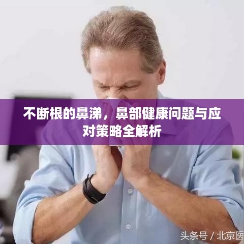 不断根的鼻涕，鼻部健康问题与应对策略全解析