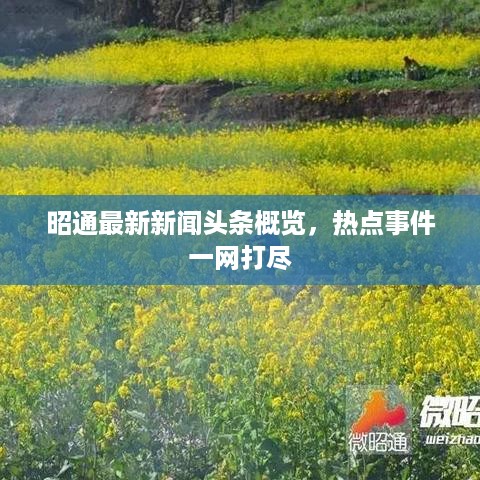 昭通最新新闻头条概览，热点事件一网打尽