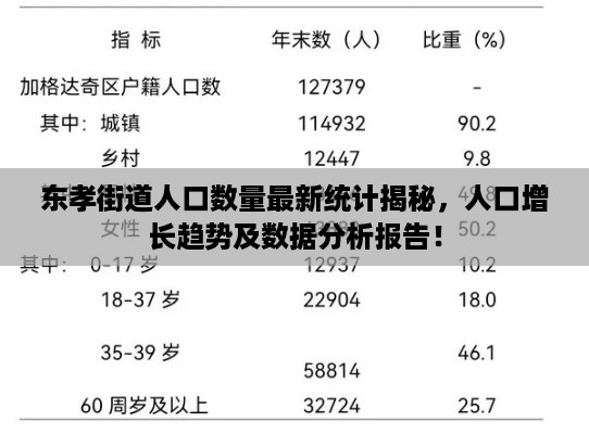 东孝街道人口数量最新统计揭秘，人口增长趋势及数据分析报告！