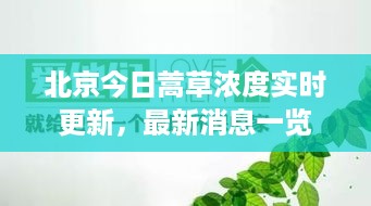 北京今日蒿草浓度实时更新，最新消息一览