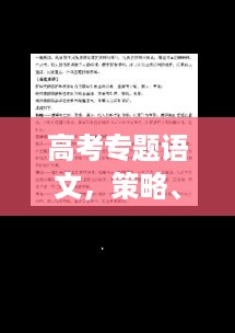 高考专题语文，策略、挑战与应对策略