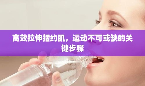 高效拉伸括约肌，运动不可或缺的关键步骤