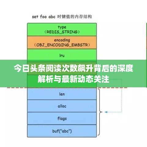 今日头条阅读次数飙升背后的深度解析与最新动态关注