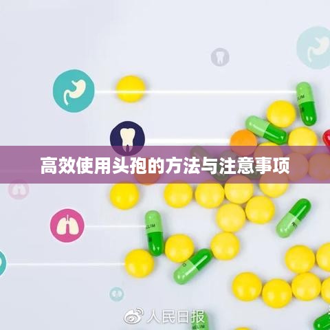 高效使用头孢的方法与注意事项