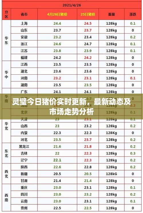 灵璧今日猪价实时更新，最新动态及市场走势分析