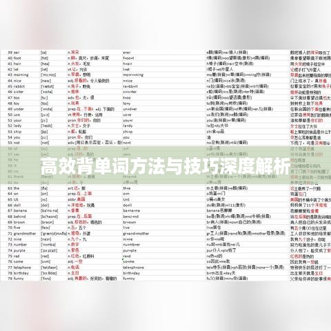 高效背单词方法与技巧深度解析