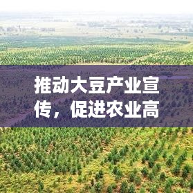 推动大豆产业宣传，促进农业高质量发展