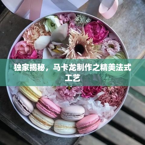 独家揭秘，马卡龙制作之精美法式工艺