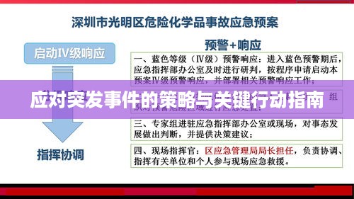 应对突发事件的策略与关键行动指南