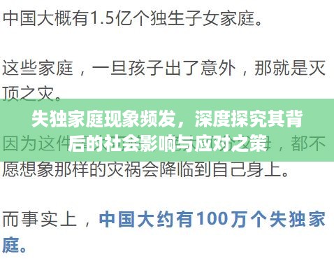 失独家庭现象频发，深度探究其背后的社会影响与应对之策