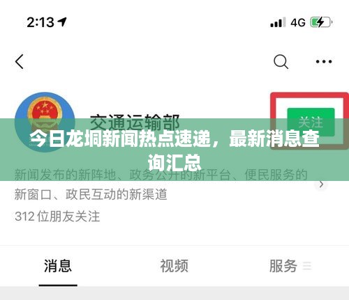 今日龙垌新闻热点速递，最新消息查询汇总