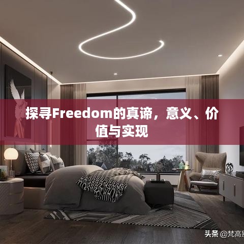 探寻Freedom的真谛，意义、价值与实现