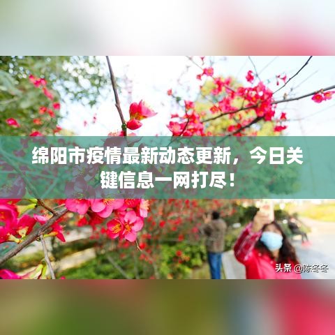 绵阳市疫情最新动态更新，今日关键信息一网打尽！