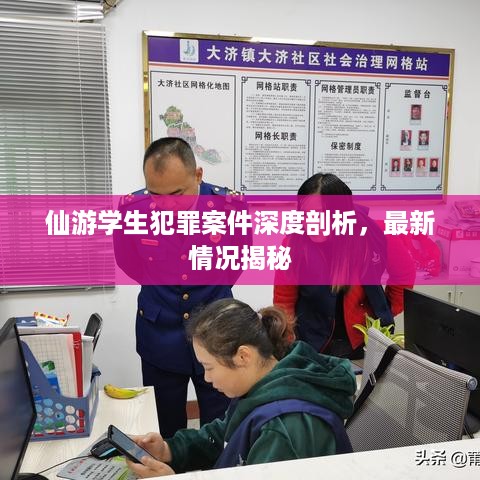 仙游学生犯罪案件深度剖析，最新情况揭秘