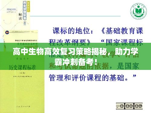 高中生物高效复习策略揭秘，助力学霸冲刺备考！