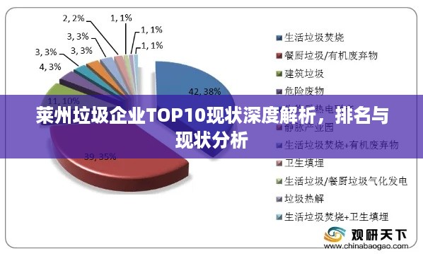 莱州垃圾企业TOP10现状深度解析，排名与现状分析