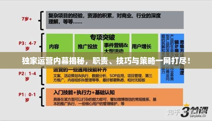 独家运营内幕揭秘，职责、技巧与策略一网打尽！