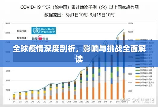 全球疫情深度剖析，影响与挑战全面解读