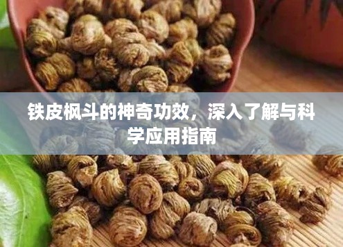 铁皮枫斗的神奇功效，深入了解与科学应用指南