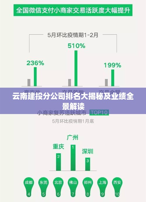 云南建投分公司排名大揭秘及业绩全景解读