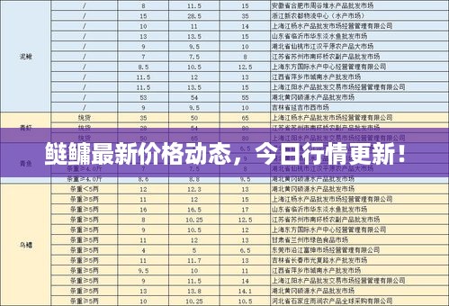 鲢鳙最新价格动态，今日行情更新！