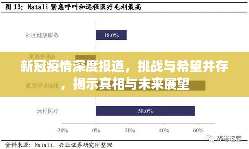 新冠疫情深度报道，挑战与希望并存，揭示真相与未来展望