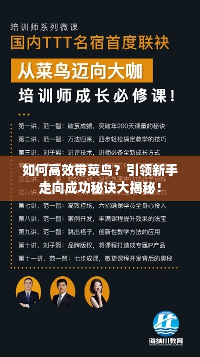 如何高效带菜鸟？引领新手走向成功秘诀大揭秘！