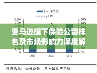 亚马逊旗下保险公司排名及市场影响力深度解析