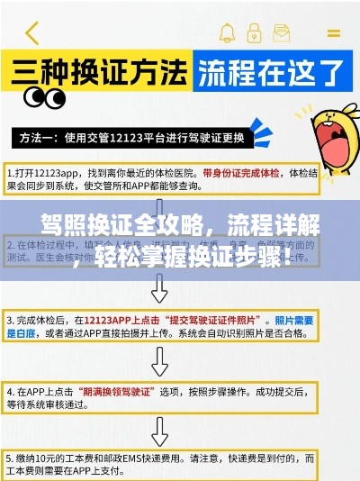 驾照换证全攻略，流程详解，轻松掌握换证步骤！