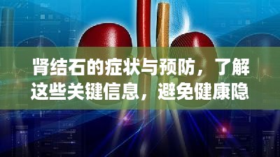 肾结石的症状与预防，了解这些关键信息，避免健康隐患！