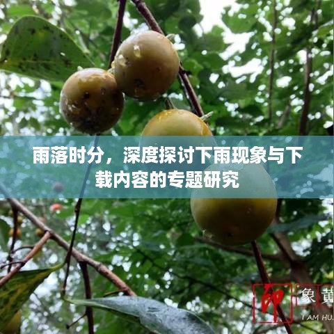 雨落时分，深度探讨下雨现象与下载内容的专题研究