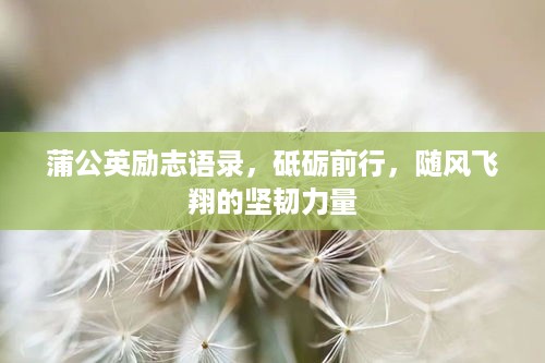 蒲公英励志语录，砥砺前行，随风飞翔的坚韧力量