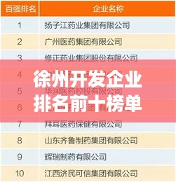 徐州开发企业排名前十榜单揭晓！这些企业领跑行业前列！