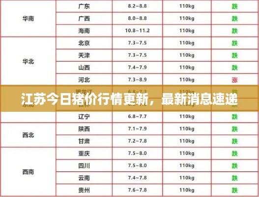 江苏今日猪价行情更新，最新消息速递