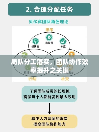 局队分工落实，团队协作效率提升之关键