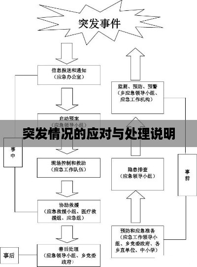 突发情况的应对与处理说明