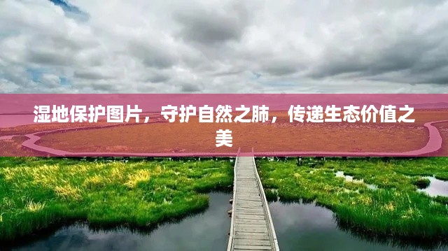 湿地保护图片，守护自然之肺，传递生态价值之美