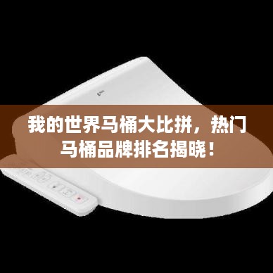 我的世界马桶大比拼，热门马桶品牌排名揭晓！