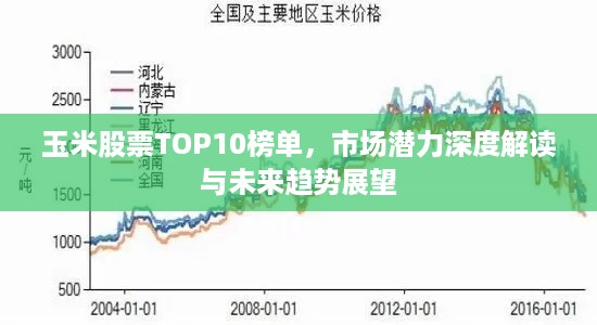 玉米股票TOP10榜单，市场潜力深度解读与未来趋势展望